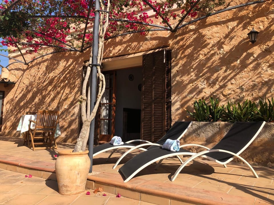 Patio, Off site, Day, Balcony/Terrace, sunbed