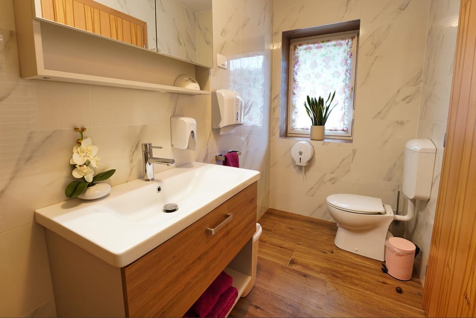 Toilet, Bathroom
