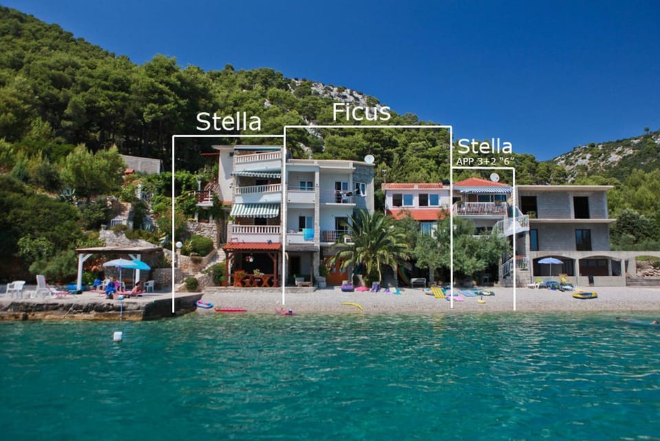 Property building, Natural landscape, Beach