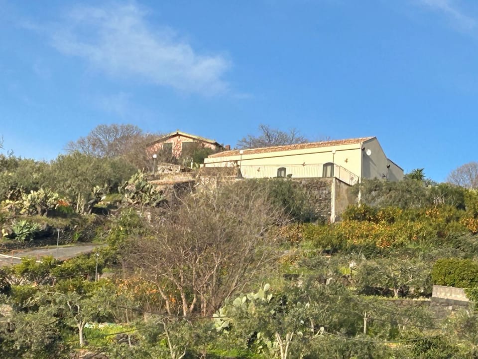 Agrumeto Del Campo House in Sicily