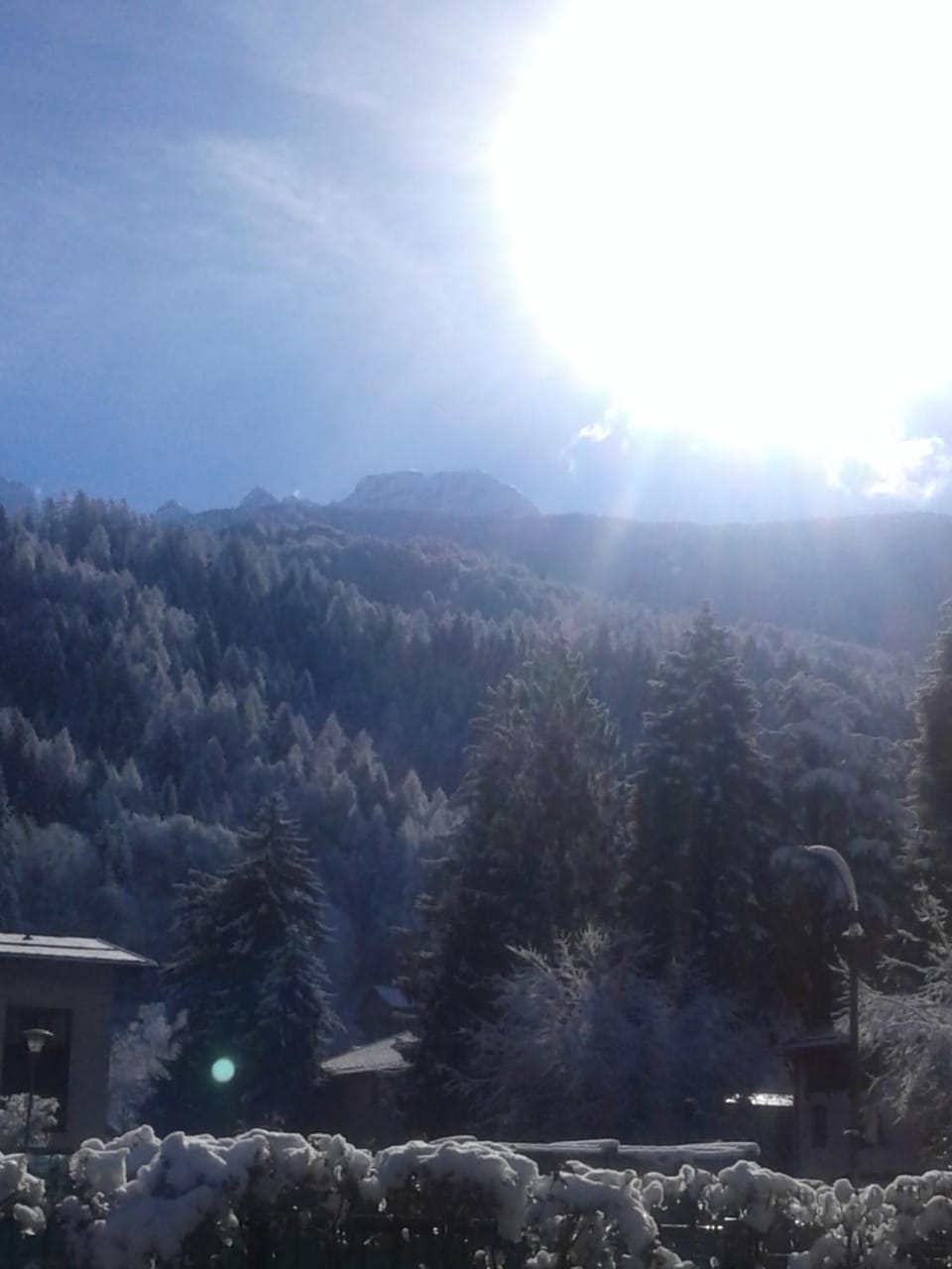 Casa Dalbon Chistè Apartment in Pinzolo