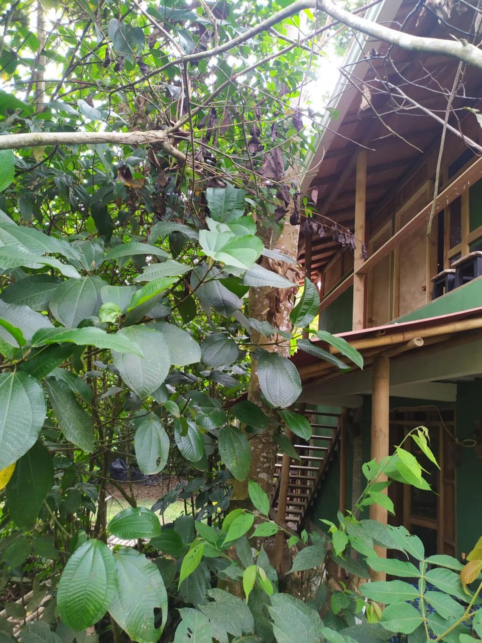 Property building, Garden view