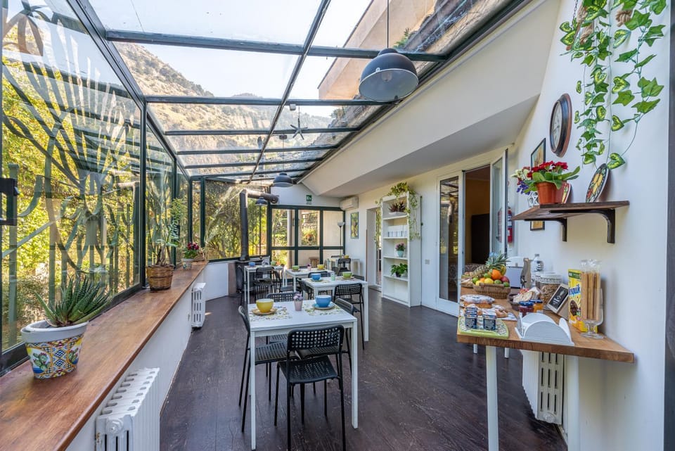 Patio, Day, View (from property/room), Dining area, Garden view