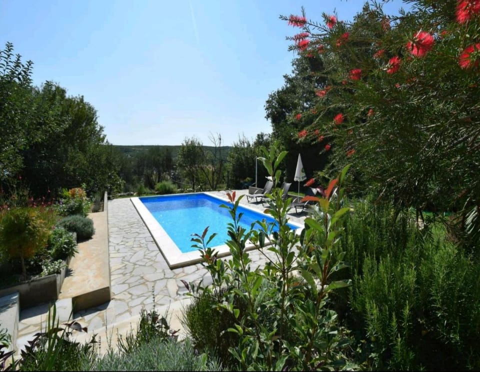 Swimming pool, Swimming pool
