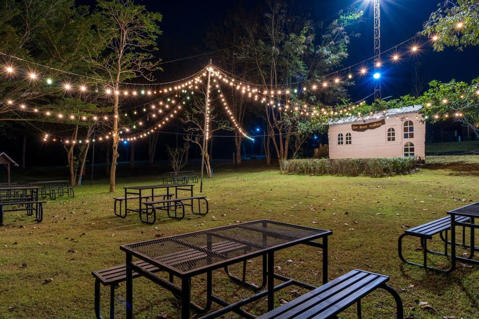Night, Garden, Garden view