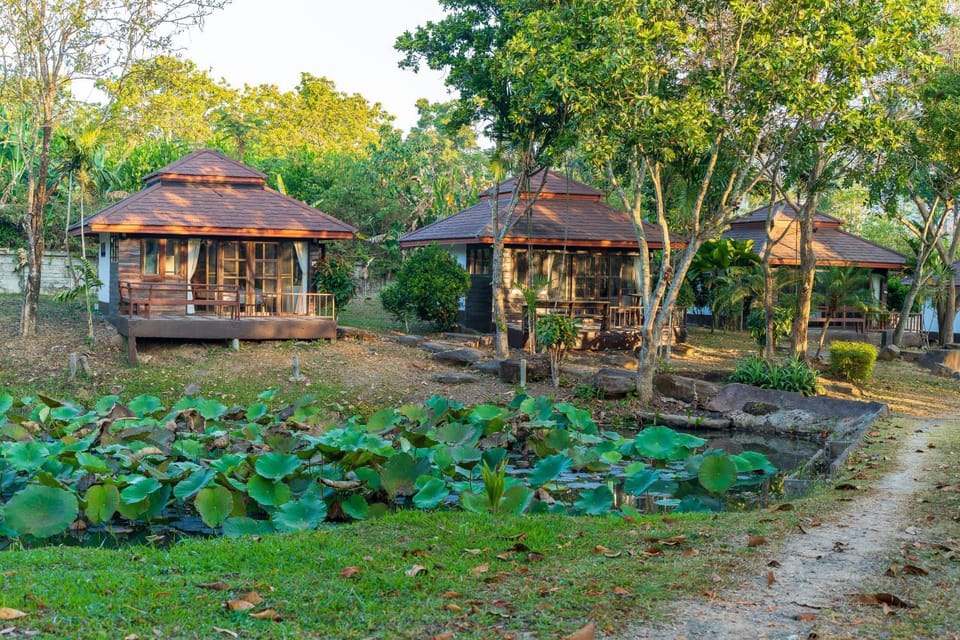 Natural landscape, Garden, Garden view