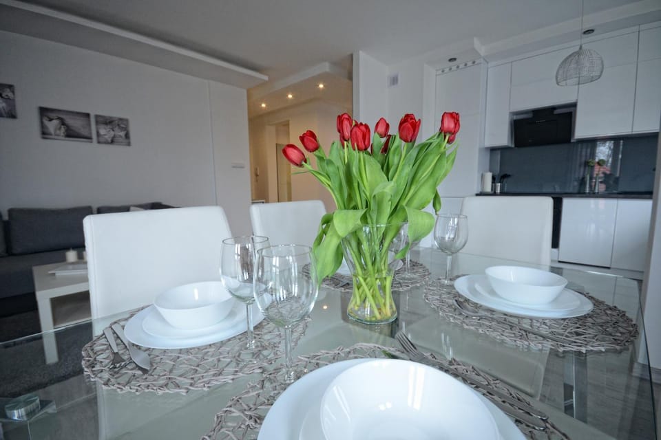 Apartament nad Drwęcą I Apartment in Poland