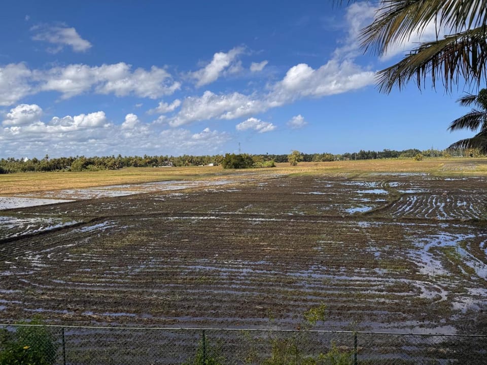 Lavender Home Yala Safari Hotel in Southern Province