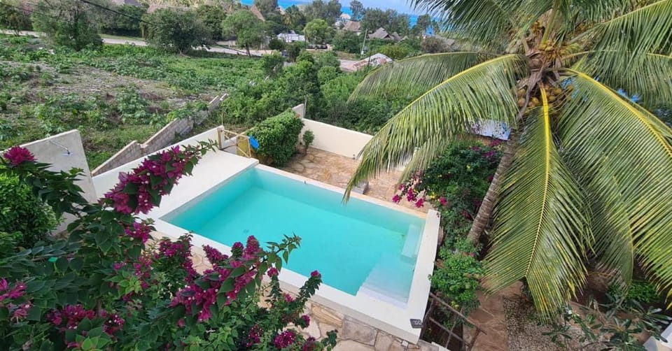 Spring, Day, Natural landscape, Garden, Garden view, Pool view, Swimming pool
