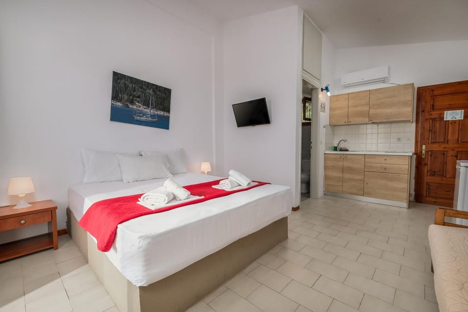 Bed, TV and multimedia, Kitchen or kitchenette, Photo of the whole room, Bedroom, towels