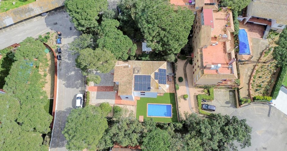 Patio, Garden, Garden view