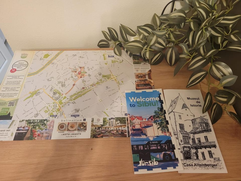 Welcome Downtown Studio Apartment in Sibiu