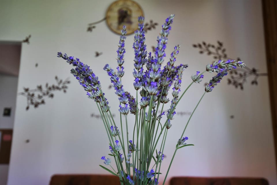 Klara&Ivan Apartment in Split