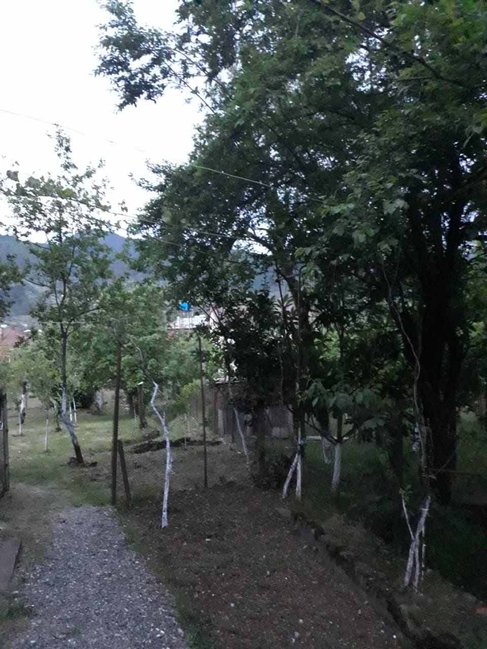 Spring, Garden, Garden view