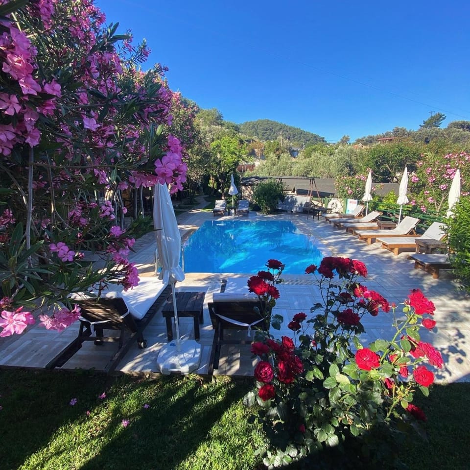 Pool view