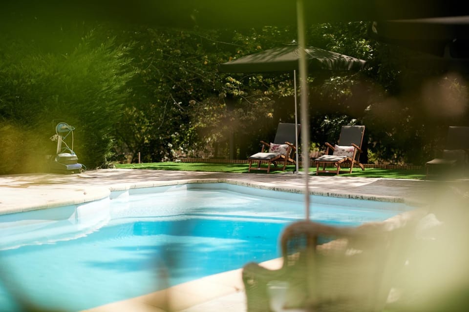Garden, Garden view, Pool view, Swimming pool, sunbed