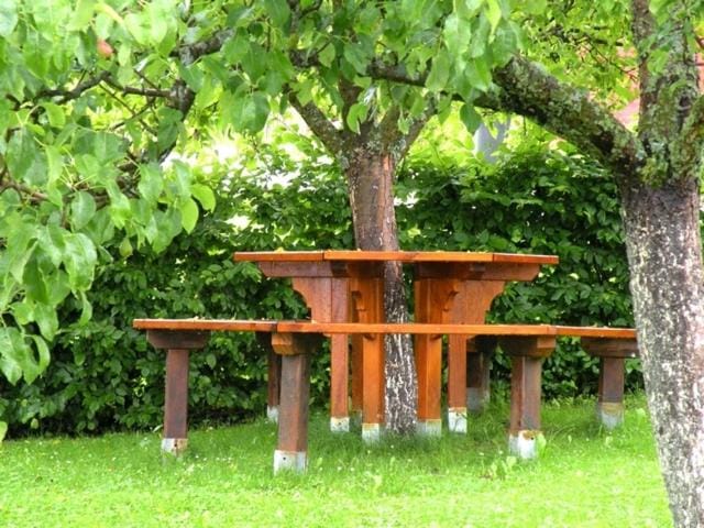 Pension Winter Apartment in Upper Austria