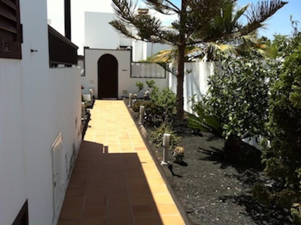 Garden, Other, Garden view