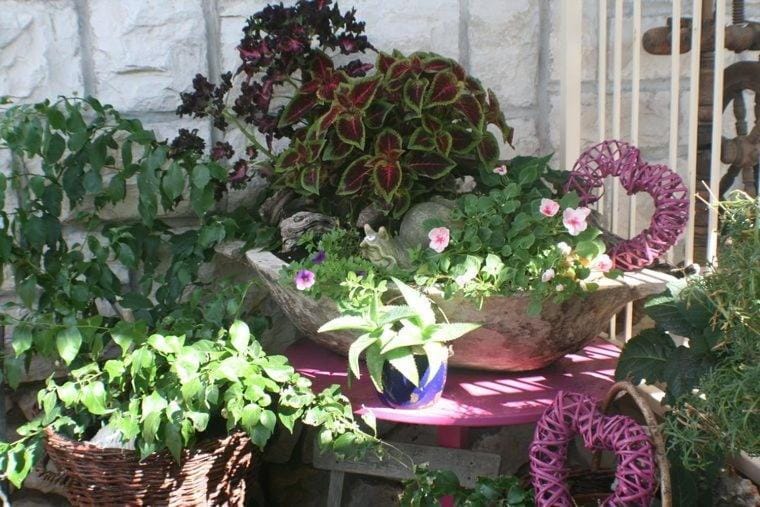 Patio, Garden, Garden view