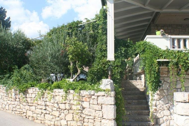 Patio, Garden, Garden view