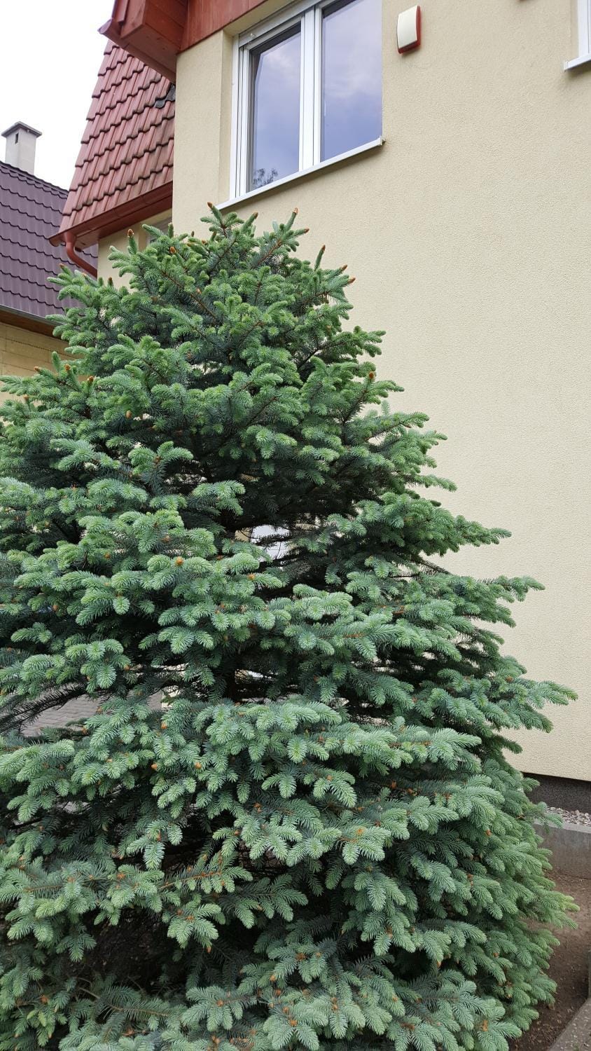 Apartament rodzinny z ogrodem - Bliżej Zdroju House in Lower Silesian Voivodeship