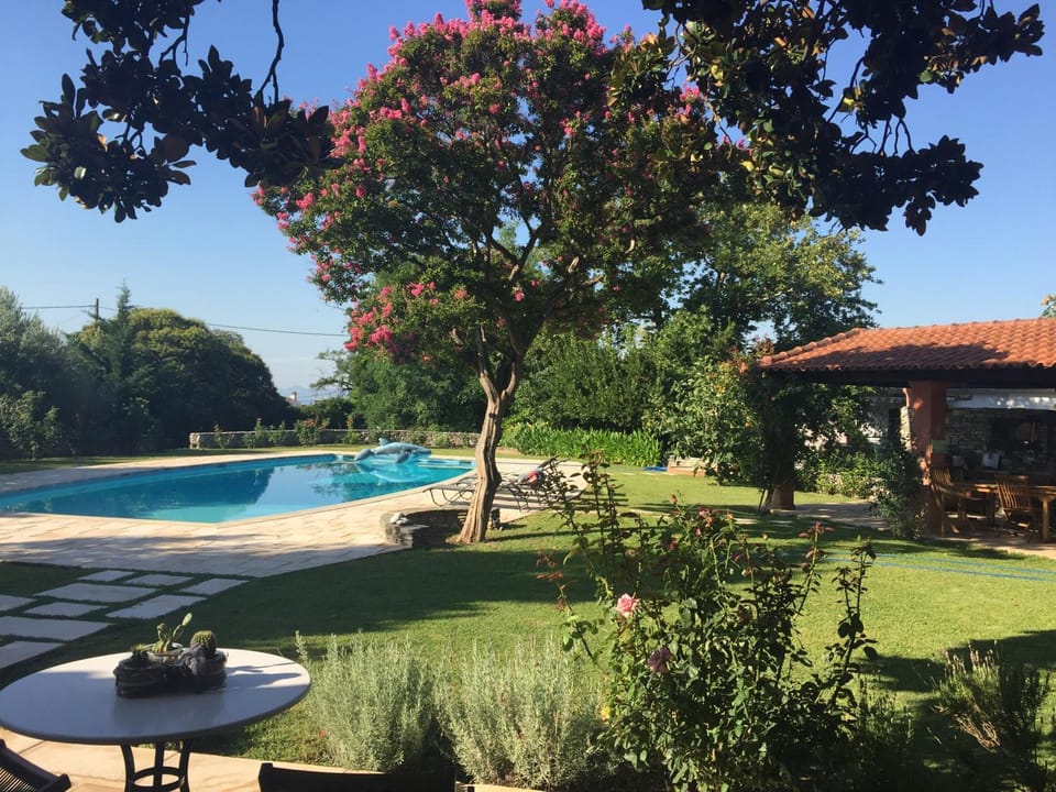 Natural landscape, Swimming pool