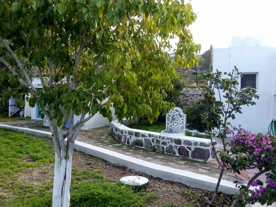 Garden, Balcony/Terrace