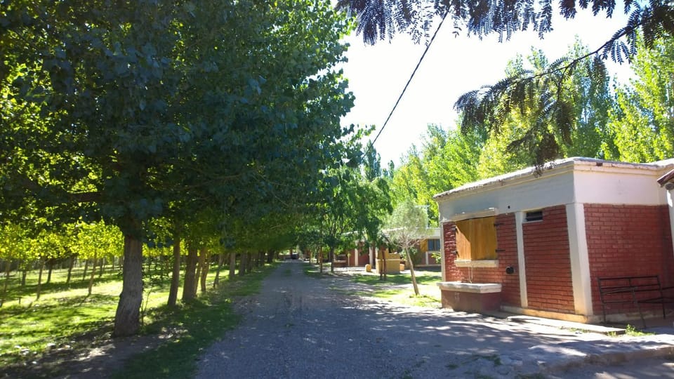 Patio, Garden