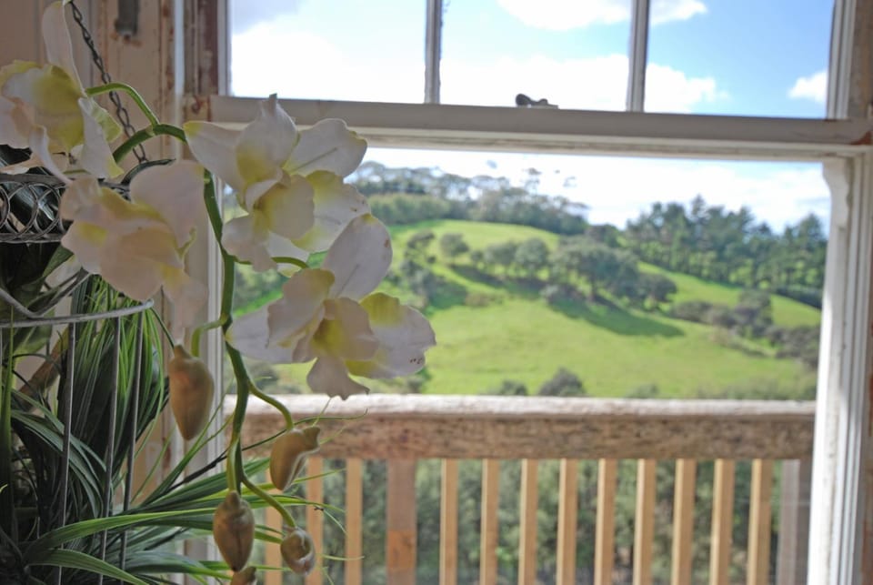 View (from property/room), Garden view
