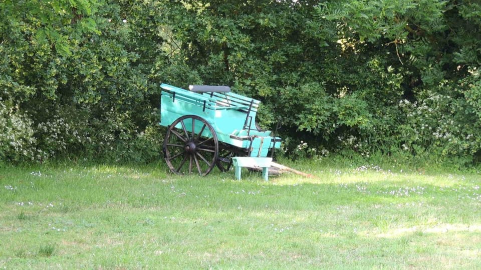 Moulin de la Placette Bed and Breakfast in Pays de la Loire