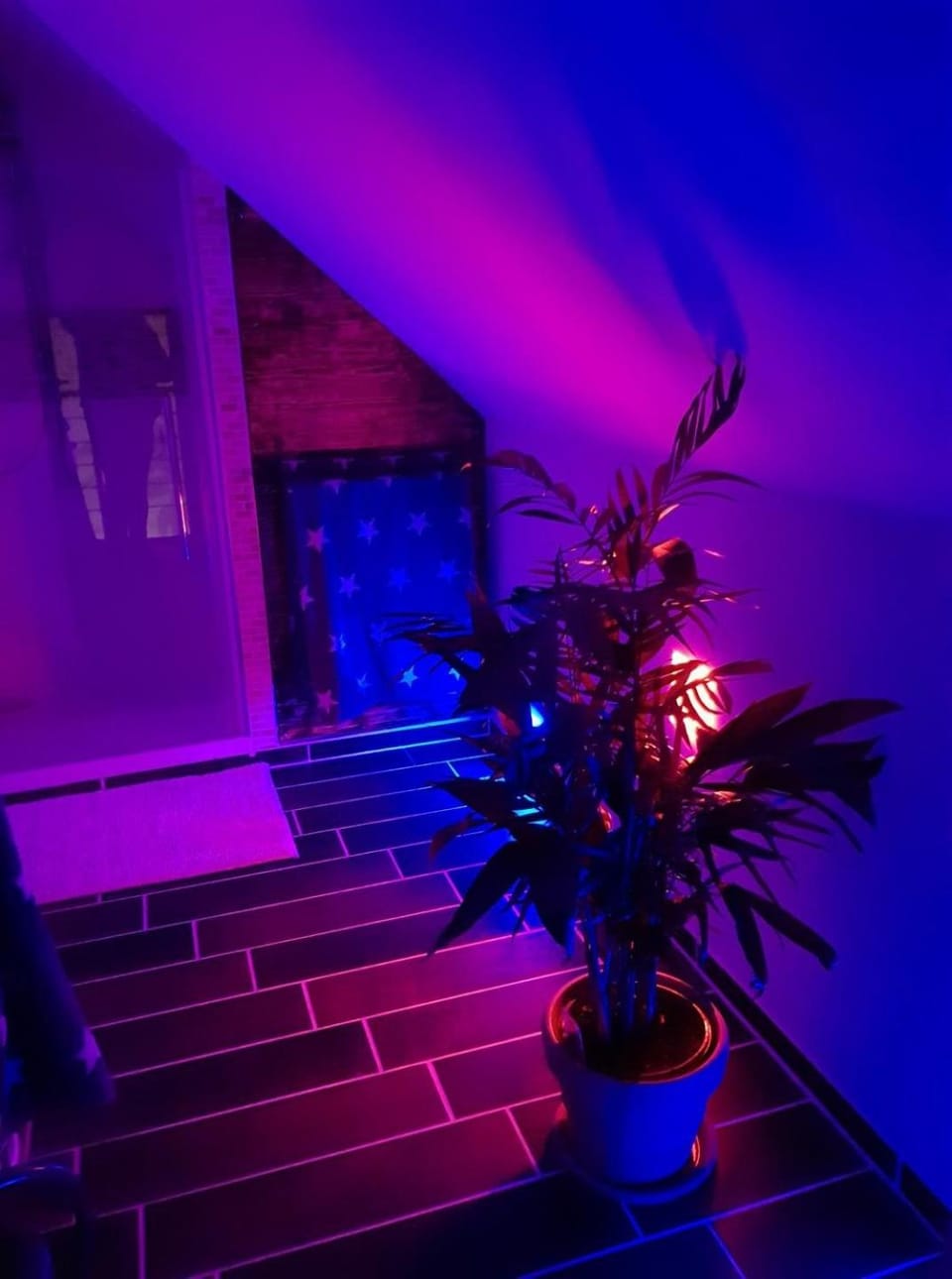 Night, Bathroom, Photo of the whole room