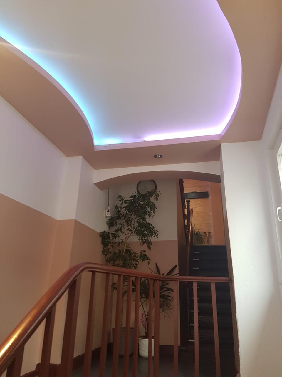Pension Oase Bed and Breakfast in Berlin