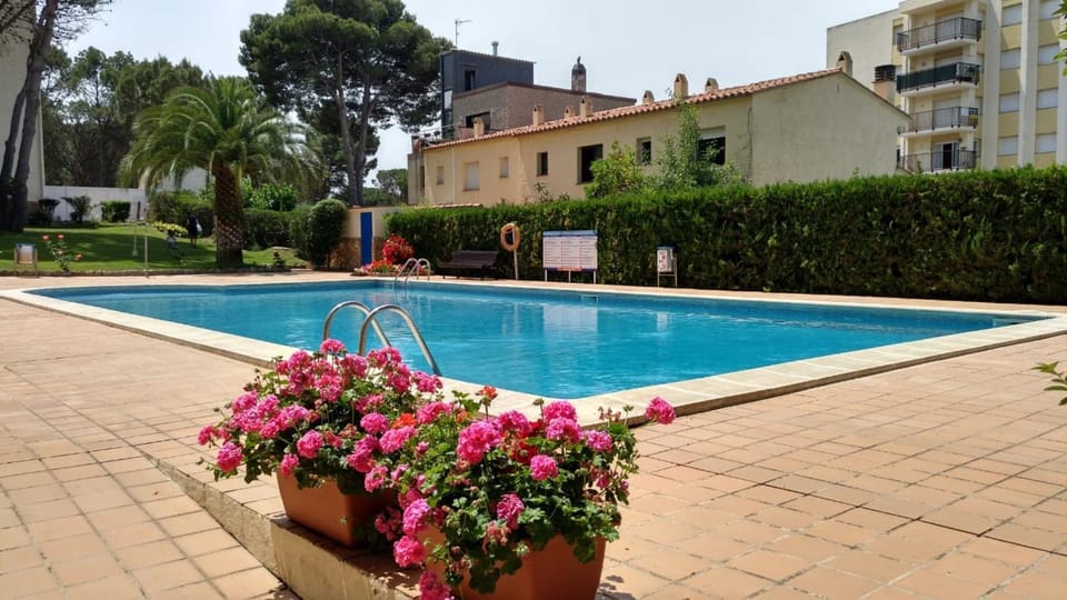 Garden, Swimming pool