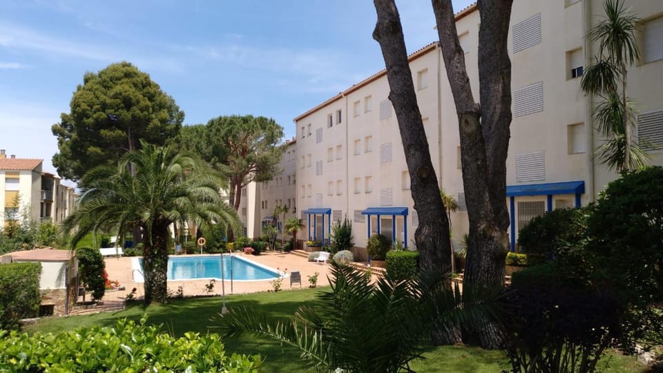 Pool view, Swimming pool