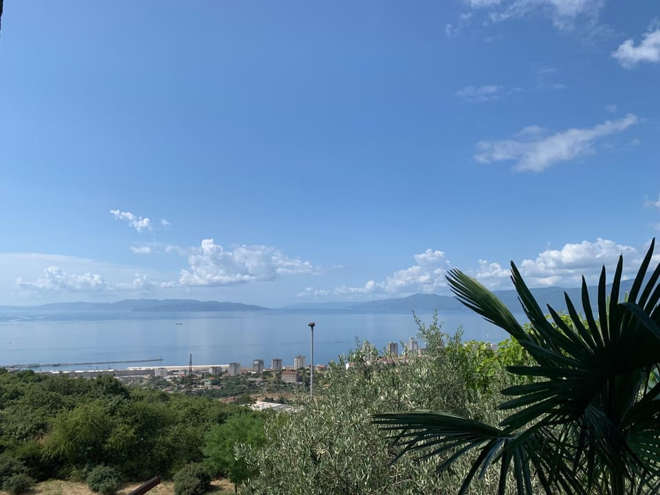Sea view