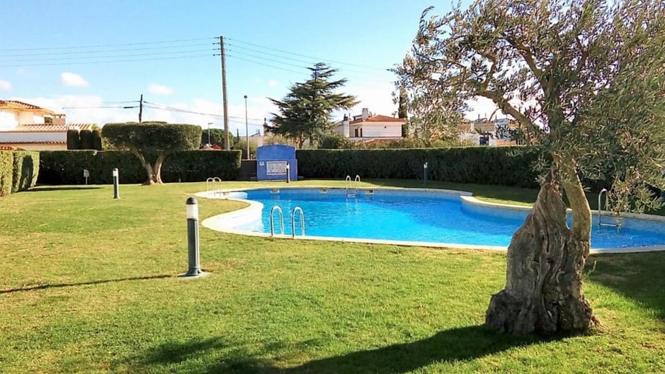 Garden, Garden, Swimming pool, Swimming pool
