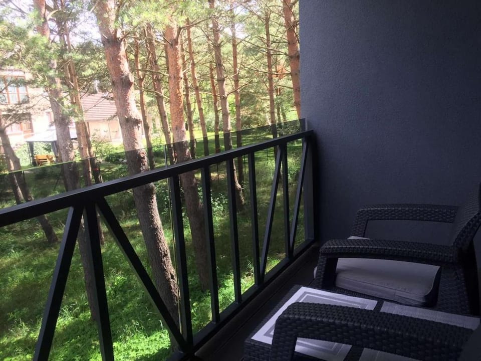 Baltic Dune 50m to Sea Apartment in Palanga
