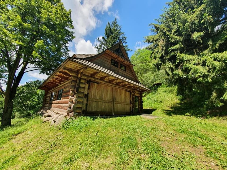 Domek Górski przy Bukowej Chacie Bed and Breakfast in Lower Silesian Voivodeship