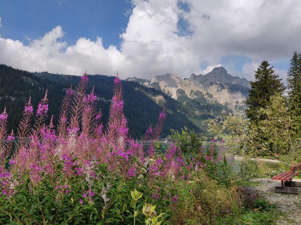 Appartementhaus Fischerstraum am Haldensee Apartment in Tyrol