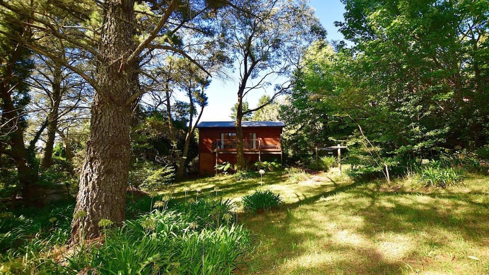 Santosha Glade near the Everglades House in Blue Mountains