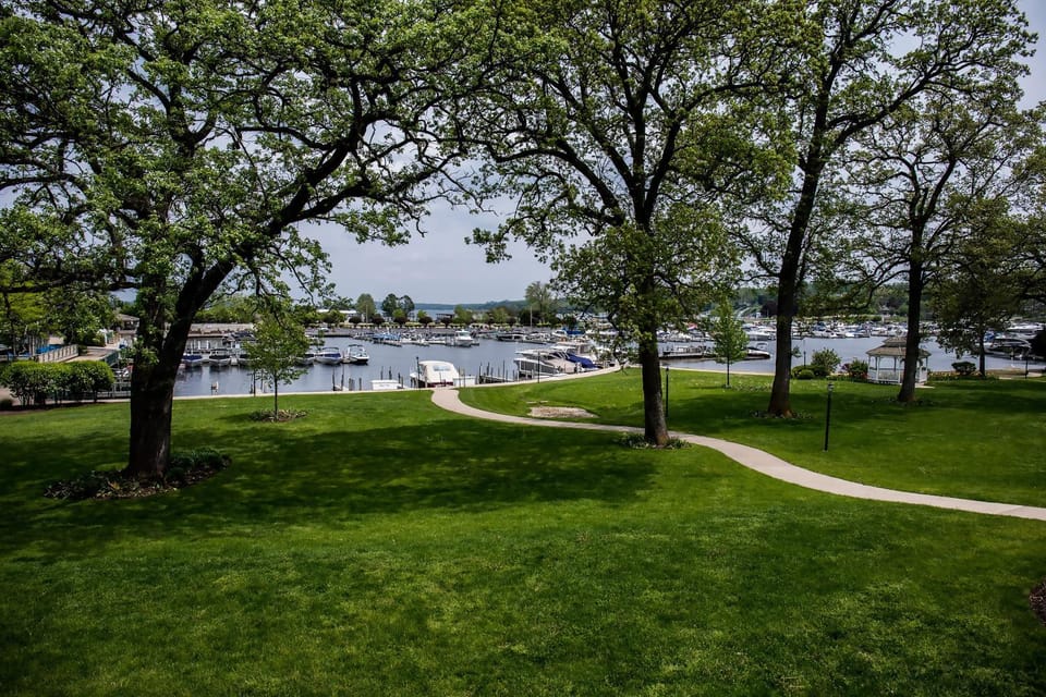 Lake view