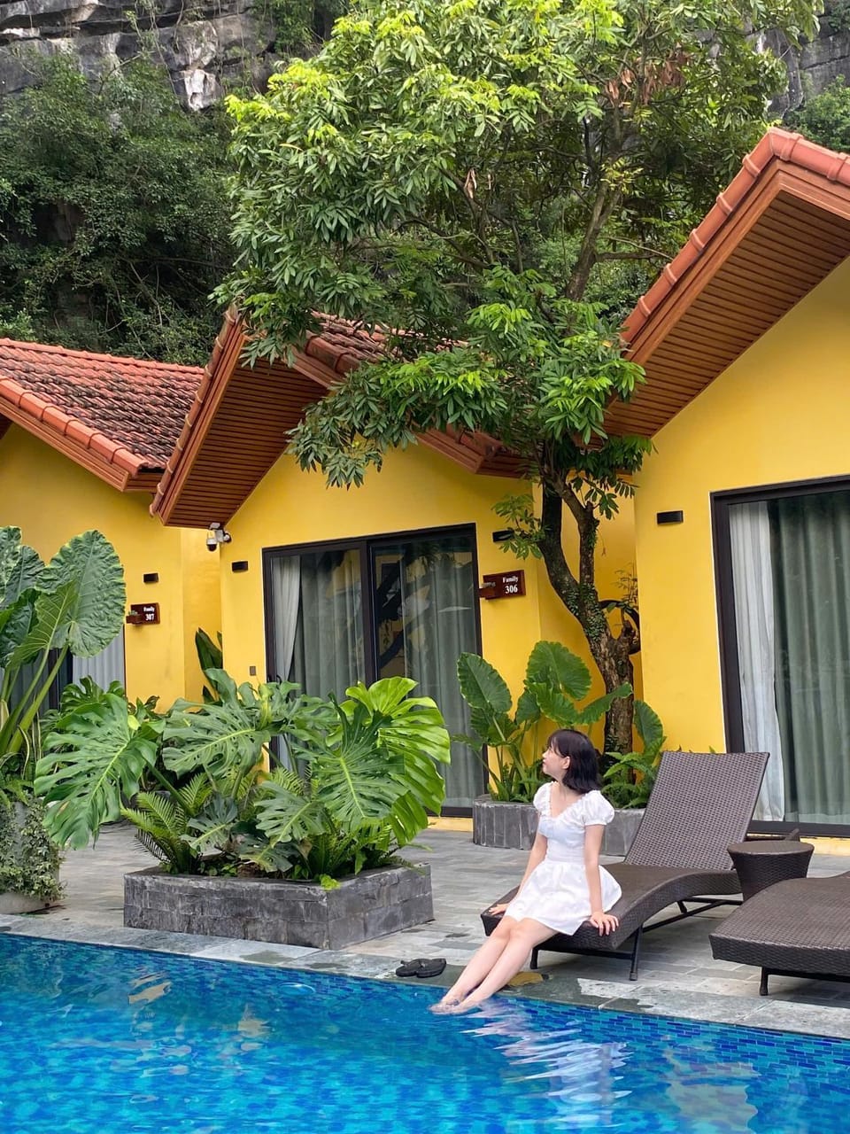 Garden, Pool view