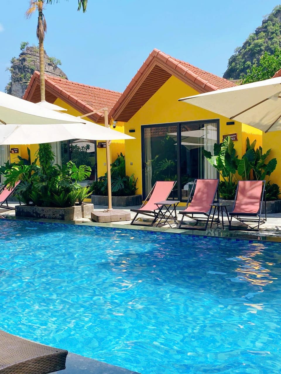 Patio, Pool view, Swimming pool