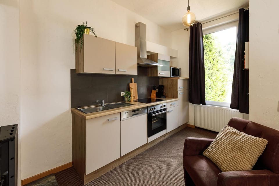 Kitchen or kitchenette, oven, stove