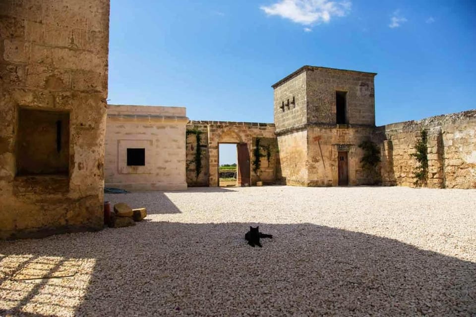 View (from property/room), Decorative detail, Inner courtyard view
