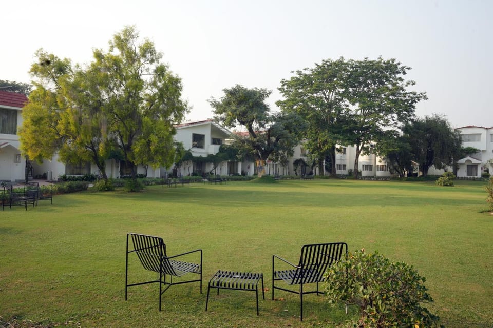 Natural landscape, Garden, Garden, Garden view