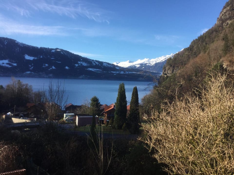 Lake view