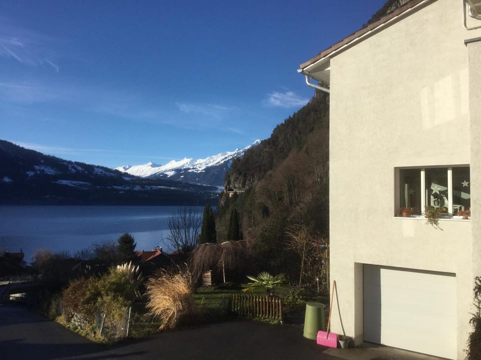 Lake view