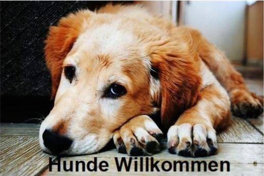 Altstadt- und Businesshotel Pfaubräu - Brauereigasthof - Frühstücksbuffet - kostenfreie Radgarage - Hunde willkommen Hotel in Salzburgerland
