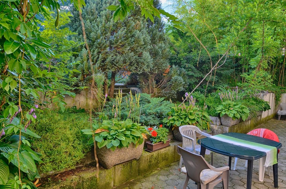 Communal lounge/ TV room, Garden